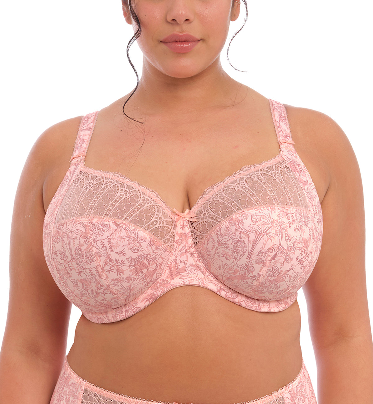 Elomi Morgan Stretch Lace Banded Underwire Bra (4110)- Cameo Rose -  Breakout Bras